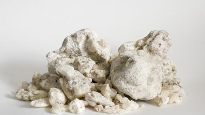 Copal Blanco | Rare | Bursera Bipinnata | Wildcrafted in Mexico