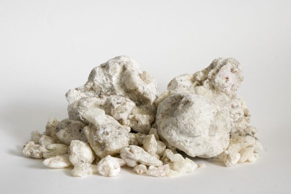 Copal Blanco | Rare | Bursera Bipinnata | Wildcrafted in Mexico