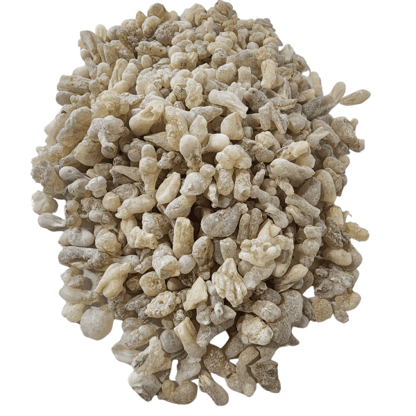 Frankincense Sultans Select Royal White Hojari | Boswellia Sacra | Resin | Incense | High Grade | Wildcrafted in Oman - Image 2
