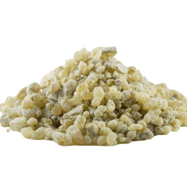 Frankincense Resin | Small Pieces | Boswellia Occulta | Incense | High Grade | Wildcrafted in Somalia
