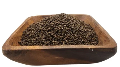 Musk Ambrette Seeds | A Grade | Wildcrafted in Egypt